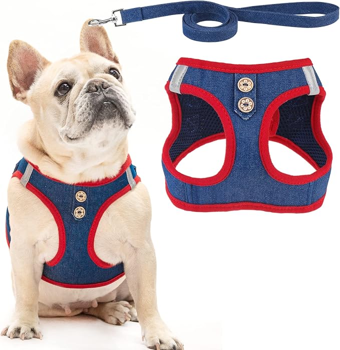 PUPTECK Dog Harness and Leash Set by PUPTECK