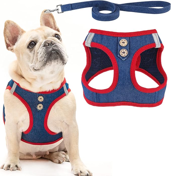 PUPTECK Dog Harness and Leash Set by PUPTECK