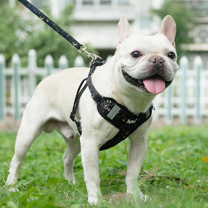 PUPTECK Dog Harness and Leash Set Medium Sized, Step in No Pull Adjustable - Image 5