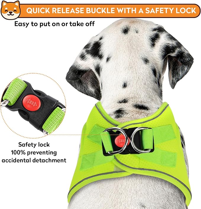 Dog Harness with Leash Set, No-Pull Step-in Reflective Pet Harness with 1 Leash - Image 3