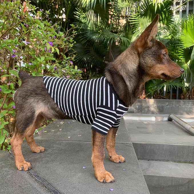 YQYS Pet T-Shirts Thick Striped Cotton Tee Shirt - Image 5