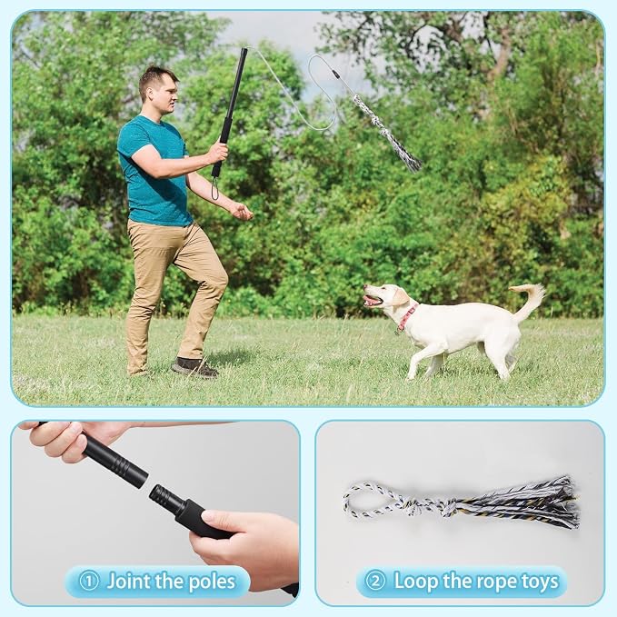 Flirt Pole for Small Medium Dogs, Interactive Chase and Tug of War Outdoor Dog - Image 5