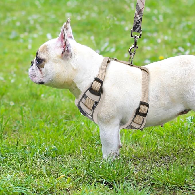 PUPTECK Small Dog Harness and Leash Set, No Pull Adjustable Puppy Cat Harness - Image 6