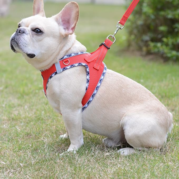 Mercano Soft Mesh Dog Harness and Leash Set, No-Chock Step-in Reflective - Image 5