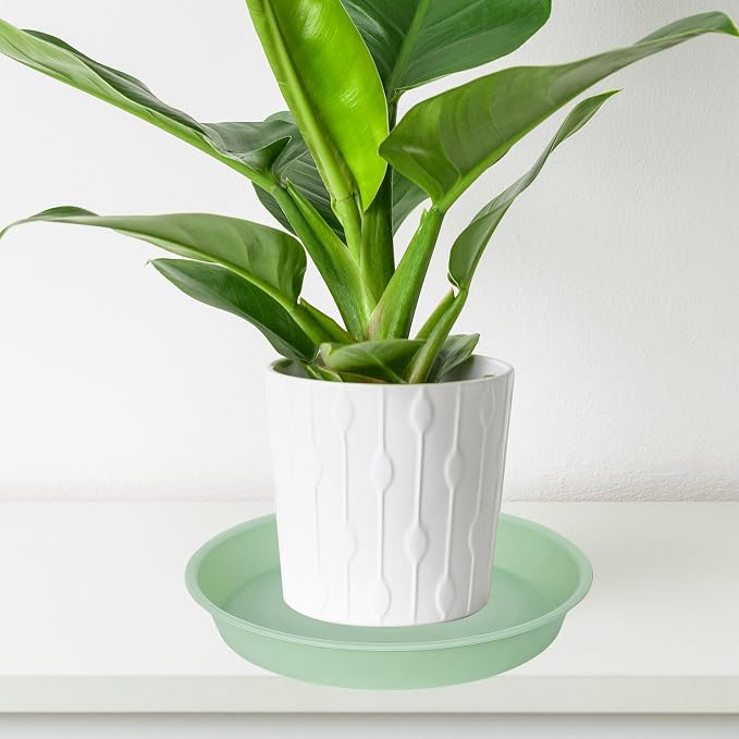 6 Pack of 12 inch Plant Saucer, Heavy Duty Plastic Plant Saucer 12" Round - Image 5