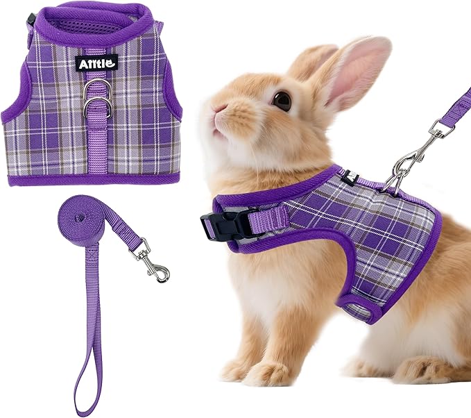 AIITLE Breathable Rabbit Harness and Leash Set by AIITLE-FORPETSBETTERLIFE