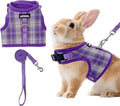 AIITLE Bunny Harness and Leash Set Escape Proof by AIITLE-FORPETSBETTERLIFE