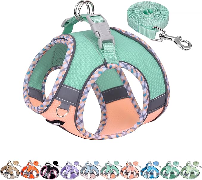 AIITLE Teacup Puppy Harness by AIITLE-FORPETSBETTERLIFE