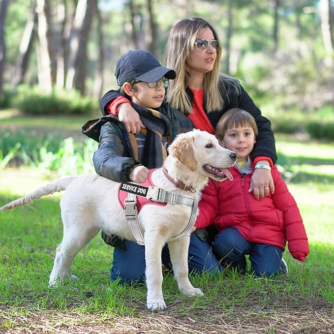 voopet Emotional Support Dog Harness, Professional Service Dog Vest Harness - Image 5