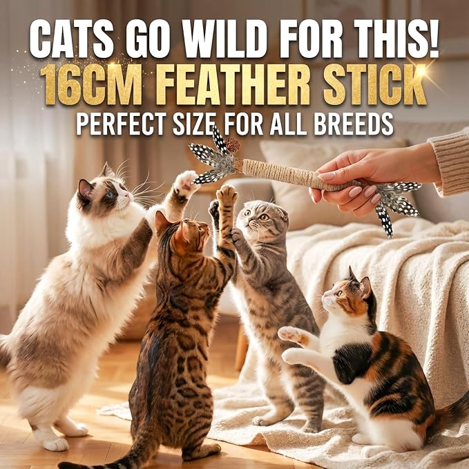 Cat Toys, 3 Pack Silvervine Cat Feather Toy Kitten Chew Stick Catnip Treat - Image 6