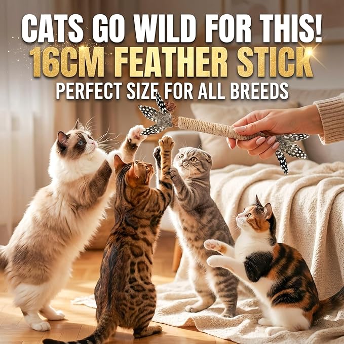 Cat Toys - Image 3
