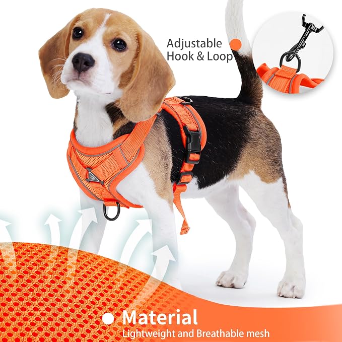 No Pull Dog Harness with Leash Set - Image 4