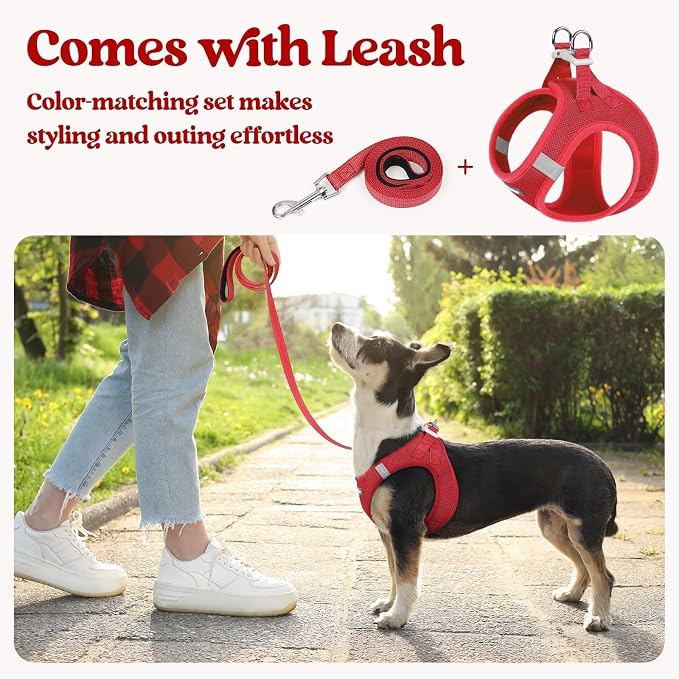 rabbitgoo Dog Harness Small Sized and Leash Set, Step in Soft Light Puppy Vest - Image 6