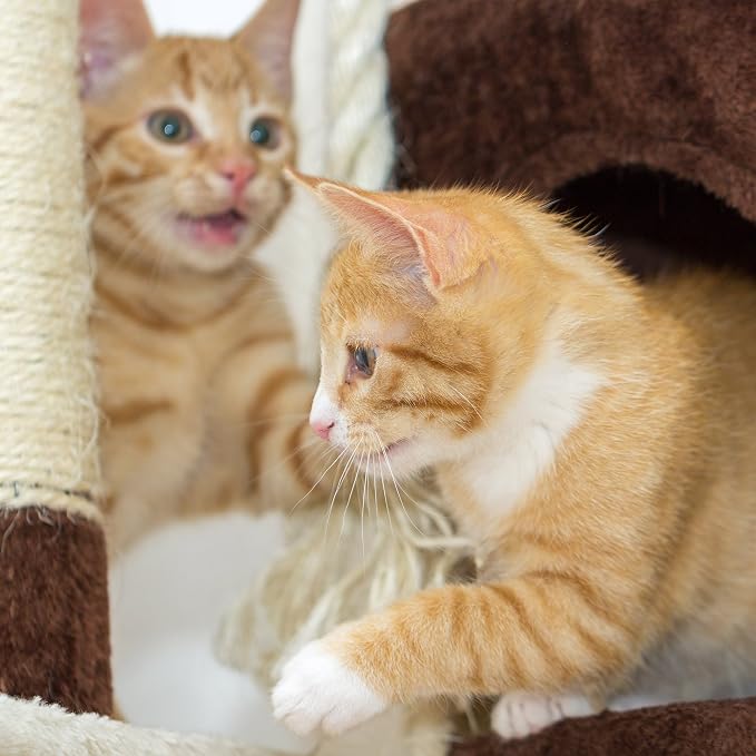 35in Cat Tree with Climb-Up Ladder, Cat Condo, 3 Sisal Rope Cat Scratching Posts - Image 5