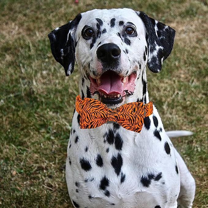 Elegant Little Tail Tiger Print Dog Collar, Unique Seasonal Design, Buckle - Image 6