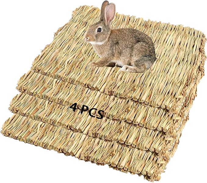 PINVNBY 4 Pack Woven Grass Mats by PINVNBY