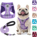 BEAUTYZOO Small Dog Harness and Leash Set, Step in No Choke No Pull Soft Mesh by BEAUTYZOO