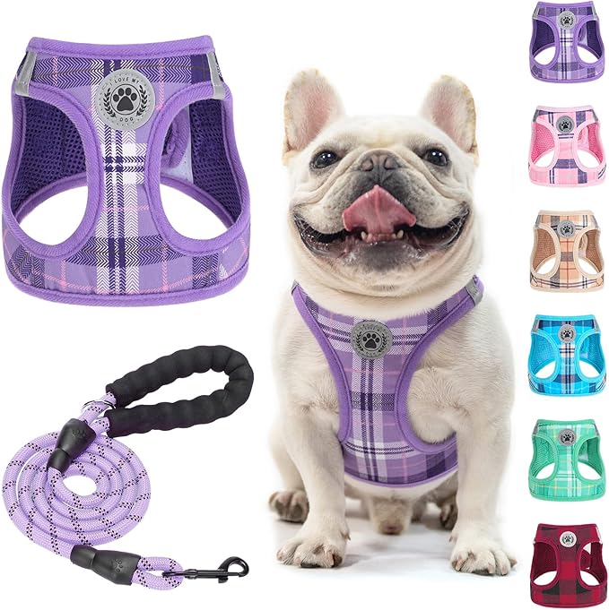 BEAUTYZOO Small Dog Harness and Leash Set, Step in No Choke No Pull Soft Mesh by BEAUTYZOO