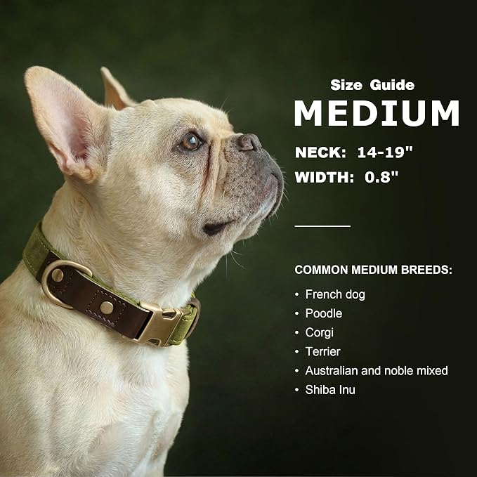 Didog Soft PU Leather Dog Collars - Image 3