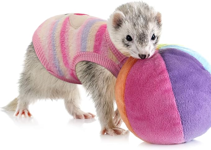Geyoga 4 Pieces Warm Puppy Clothes - Image 7