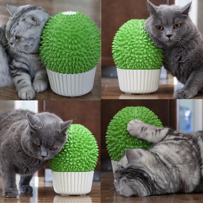 Catnip Feeder and Self Grooming Toys - Image 6