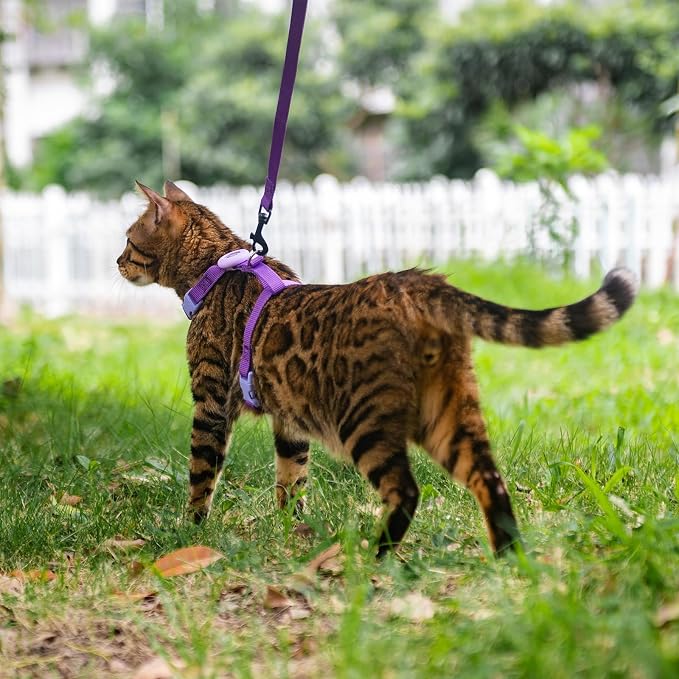 Cat Harness and Leash Set with Airtag Holder - Image 7