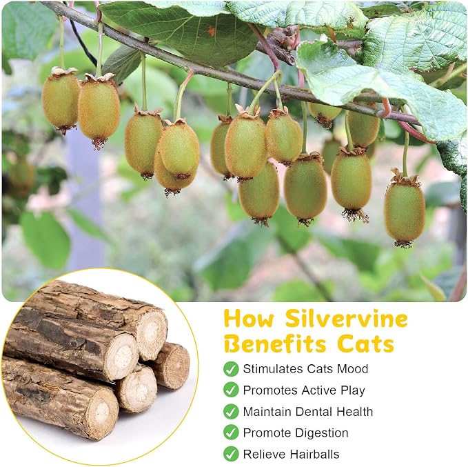 9 Pack Silvervine Sticks for Cats, Natural Cat Chew Stick Cat Toys Set - Image 4