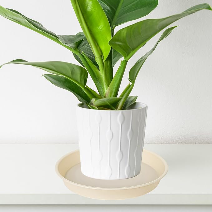 6 Pack of 12 inch Plant Saucer, Heavy Duty Plastic Plant Saucer 12" Round - Image 5