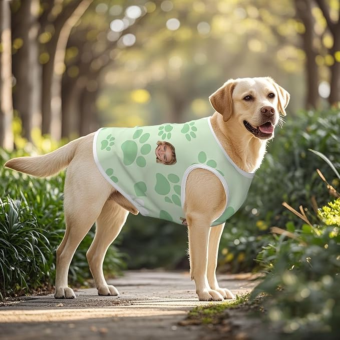 Personalized Matching Dog and Owner Clothes Separately Sold, Custom Face - Image 6