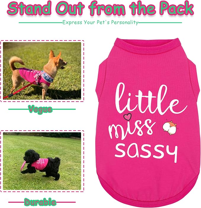 Paiaite Dog Clothes Fashionable Sleeveless Pet Vest: 'Little Miss Sassy' - Image 3