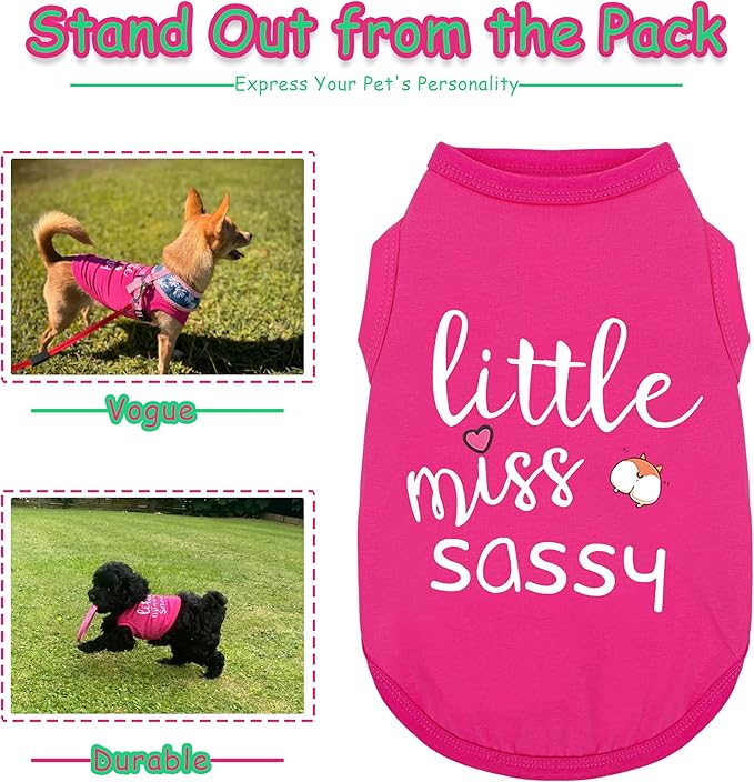Paiaite Dog Clothes Fashionable Sleeveless Pet Vest: 'Little Miss Sassy' - Image 3