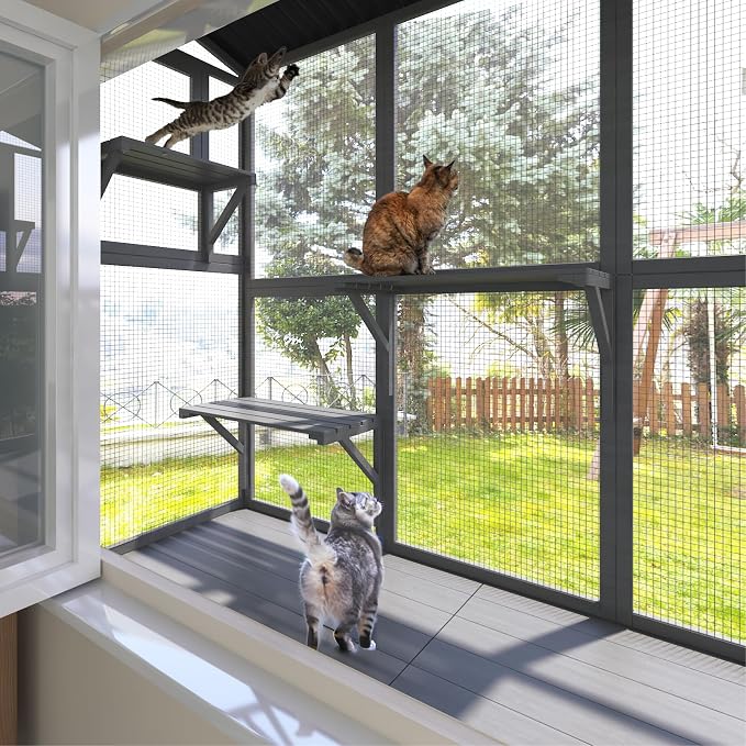 Cat Catio, Window Catio for Multiple Indoor Cats - Image 6