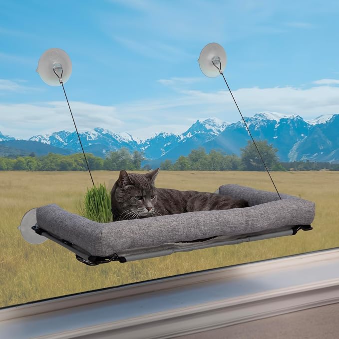 K&H Pet Products EZ Mount Cat Window Perch Deluxe Bolstered Kitty Sill by KHPetProducts