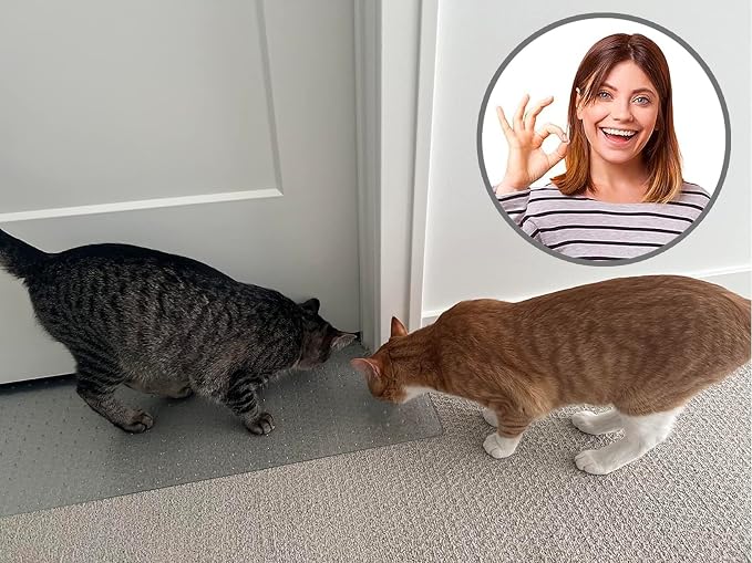 KittySmart Carpet Scratch Stopper-Stop Cats from Scratching Carpets at Doorways - Image 5