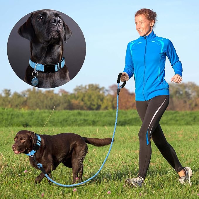 Reflective Dog Collar Padded - Image 4