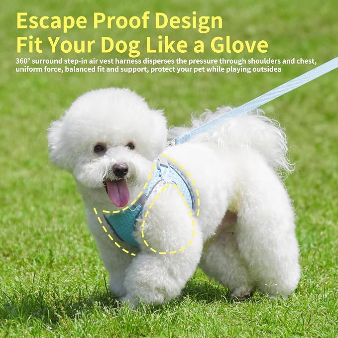 Tiny Dog Harness, All Weather Diamond Mesh, Reflective Stripes, No Pull Step in - Image 6