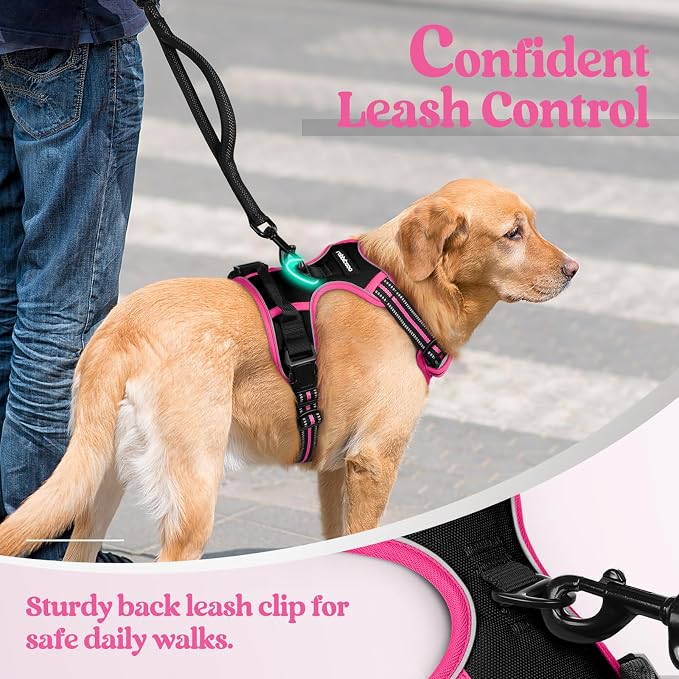 rabbitgoo Dog Harness No Pull - Image 6