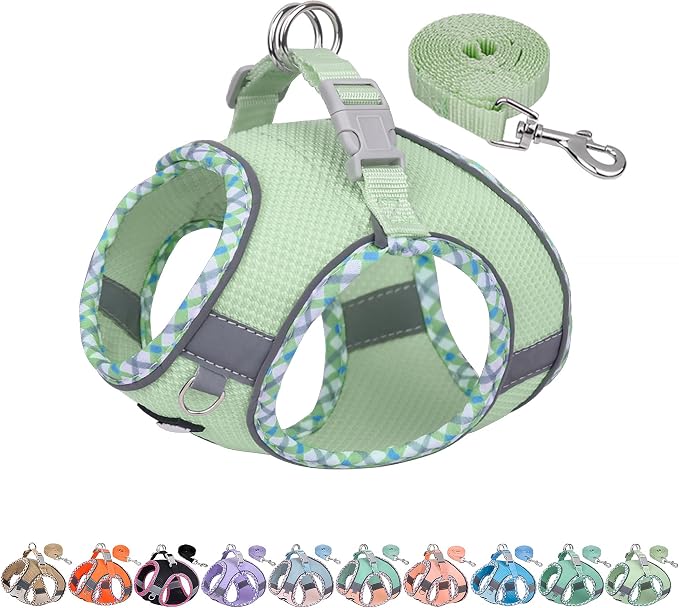 AIITLE Tiny Dog Harness by AIITLE-FORPETSBETTERLIFE