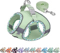AIITLE Tiny Dog Harness by AIITLE-FORPETSBETTERLIFE