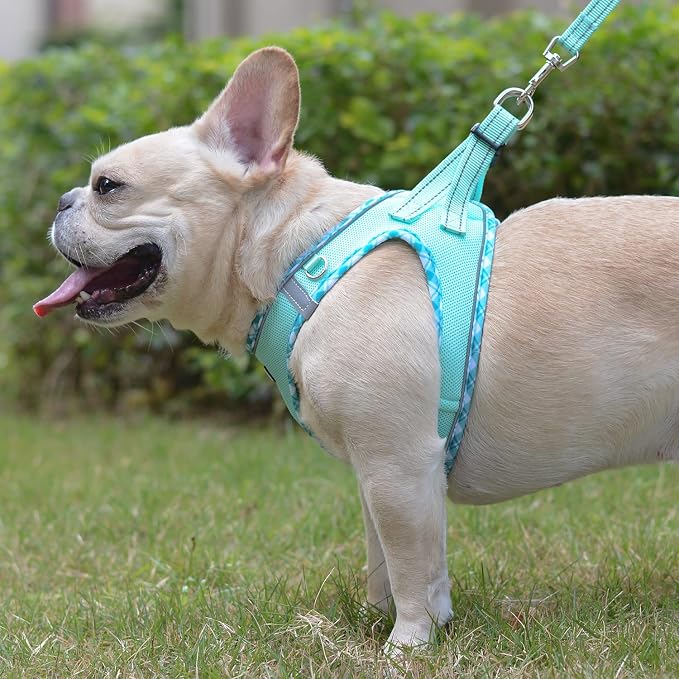 Mercano Soft Mesh Dog Harness and Leash Set, No-Chock Step-in Reflective - Image 5
