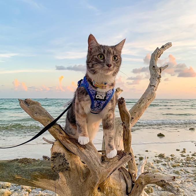 Travel Cat Harness and Leash Set - Image 9