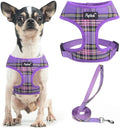 PUPTECK Soft Mesh Dog Harness and Leash Set Pet Puppy Cat Comfort Padded Vest by PUPTECK