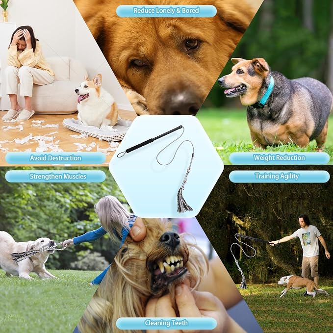 Flirt Pole for Small Medium Dogs, Interactive Chase and Tug of War Outdoor Dog - Image 7