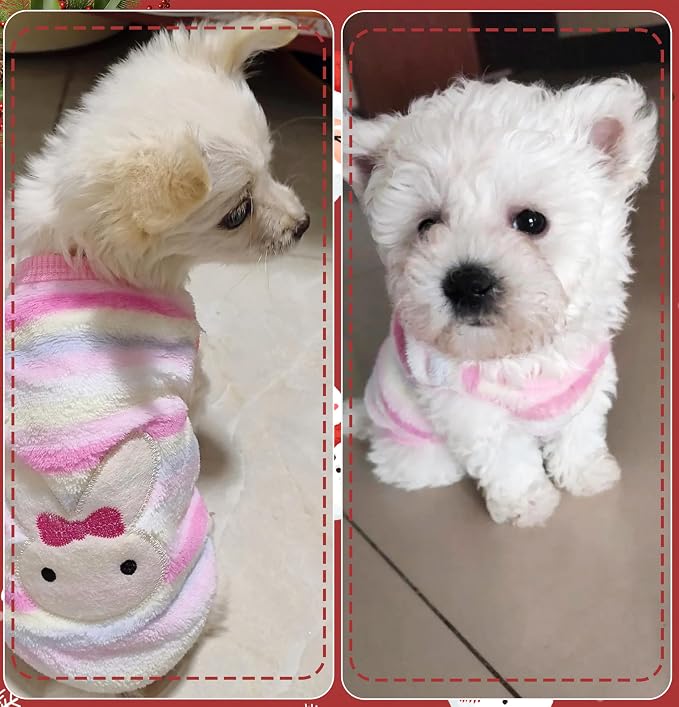 2 Pieces XXS Chihuahua Cute Small Dog Puppy Winter Extra Small Dachshund - Image 5