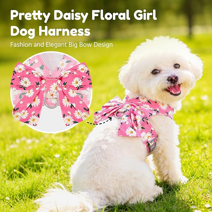 BAEJMJK Dog Harness and Leash Set - Image 2