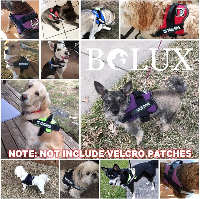 Bolux Dog Harness, No-Pull Reflective Dog Vest, Breathable Adjustable Pet - Image 7