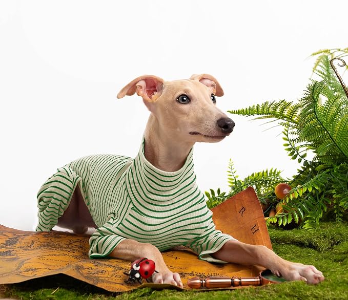 Dog Sweaters for Small Dogs Girls Boys, Striped Pet Sweaters for Fall Winter - Image 5