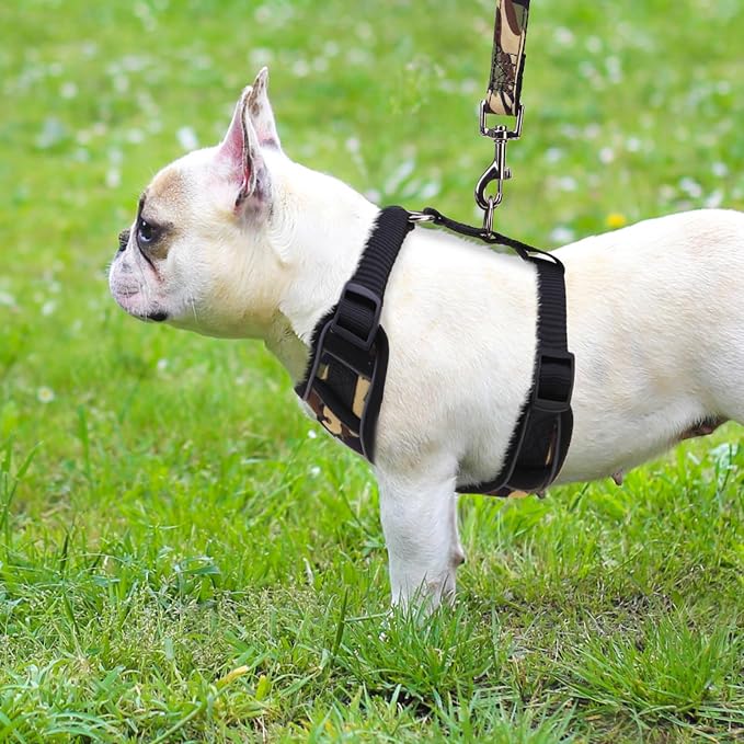 PUPTECK Small Dog Harness and Leash Set, No Pull Adjustable Puppy Cat Harness - Image 6