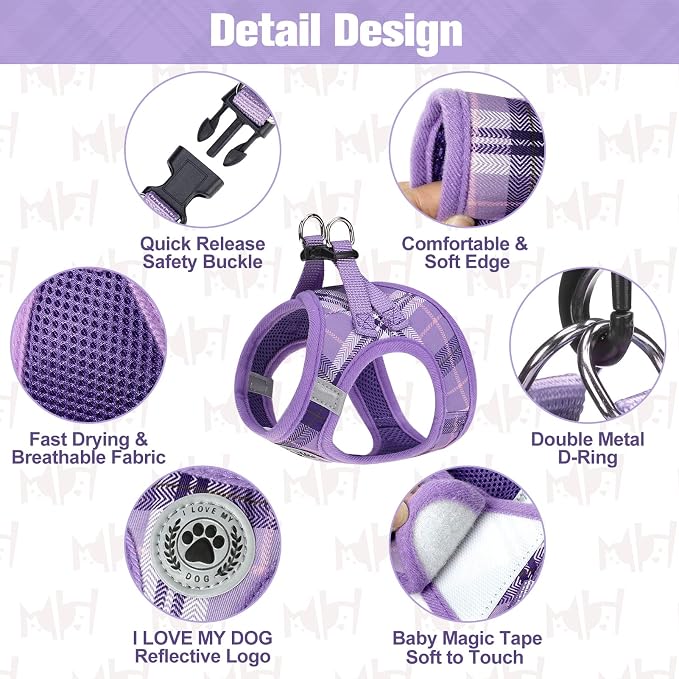 BEAUTYZOO Small Dog Harness and Leash Set, Step in No Choke No Pull Soft Mesh - Image 4