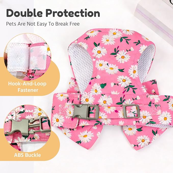 BAEJMJK Dog Harness and Leash Set - Image 6